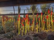 Dale Chihuly, Paintbrushes, 2021, Desert Botanical Garden, Phoenix © 2021 Chihuly Studio. All rights reserved. Photo by Nathaniel Willson.