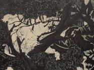 black and canvas painting. abstract yet rooted in organic, specific forms. 