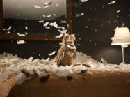 Doug Aitken film still showing an owl in a storm of feathers on a bed in a hotel room