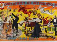 brightly colored poster advertising a magic show