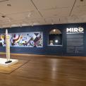 Miró and the United States Installation