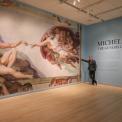 Michelangelo: The Genesis of the Sistine installation image; Adriano and The Creation of Adam