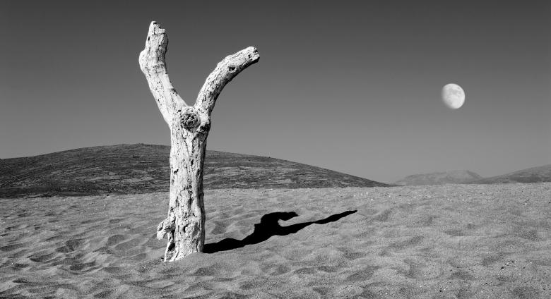 Dimitris Yeros black and white photograph of sandy landscape with a tree and the moon