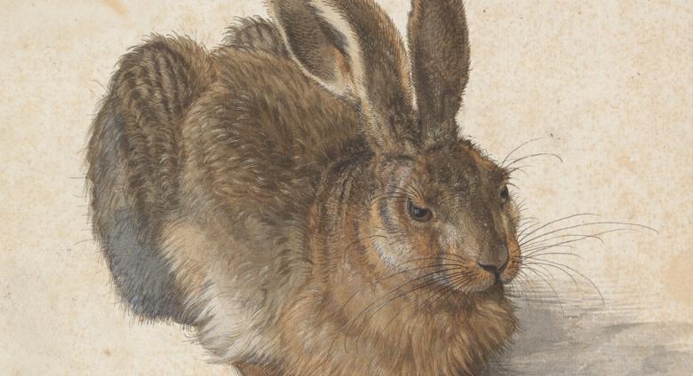 Albrecht Dürer, Young Hare, 1502. Watercolour, body colour, heightened with opaque white.