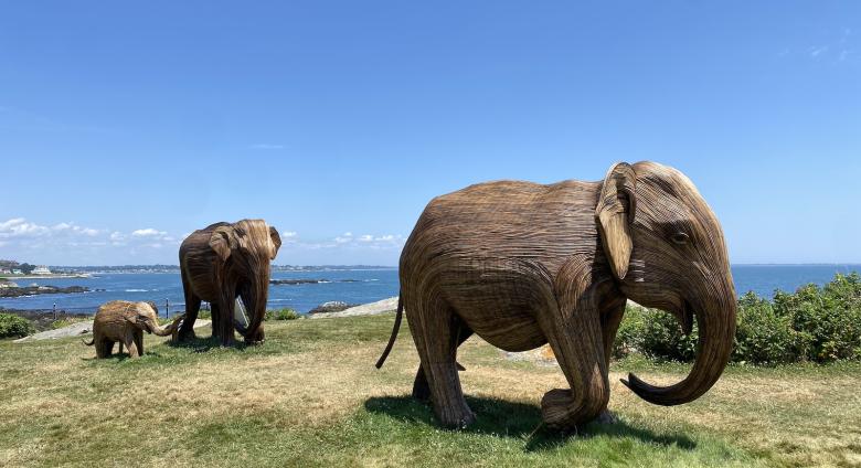 Elephant sculptures from The Great Elephant Migration at Rough Point, 2024