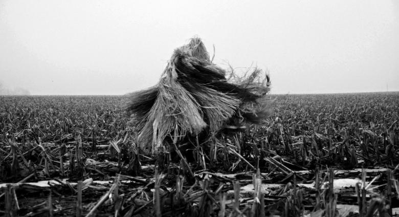 Fern Shaffer, Cornfield Outside Mineral Point, Wisconsin, 1997. Costume made from canvas and raffia.