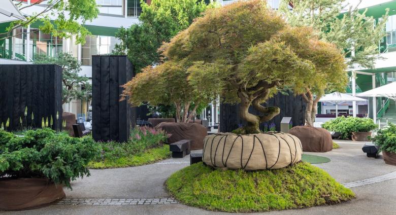 Nature Installation, The Living Fragment: Enea Tree Museum at at the Rundhof of Art Basel 2026.