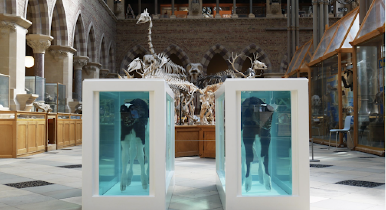 Damien Hirst, Cain and Abel, pictured in the Oxford University Museum of Natural History