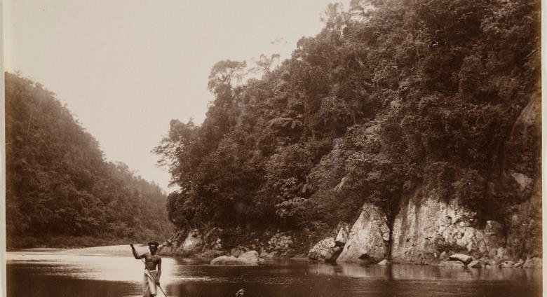 Navua River Scene, Fiji