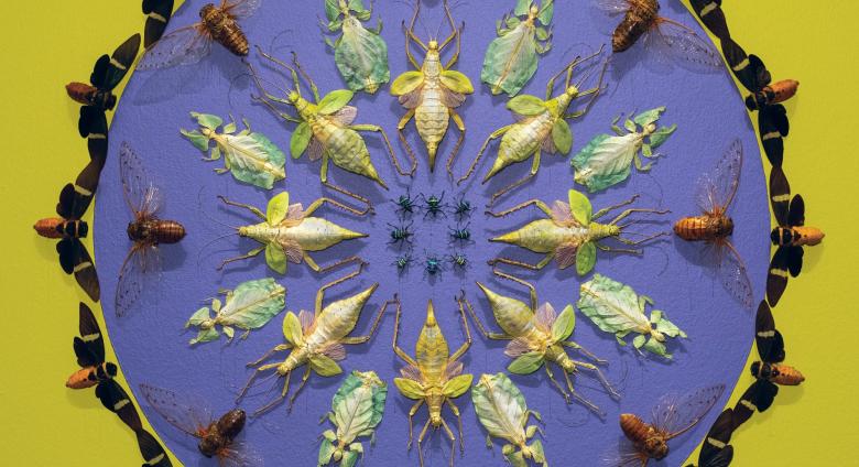 Jennifer Angus insect wallpaper installed at Museum of Fine Arts, St. Petersburg.