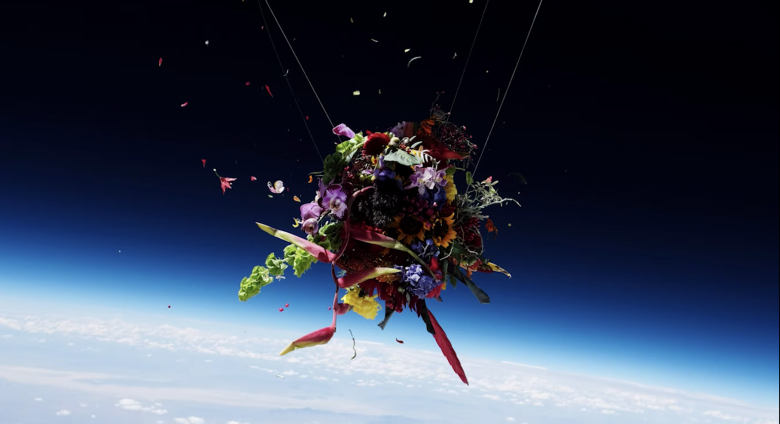 flowers floating in space above the earth