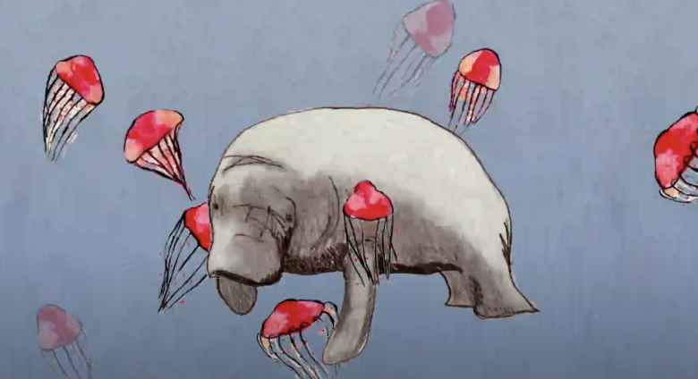 Seven Silent Songs Video Still Manatee and Jelly Fish Drawing
