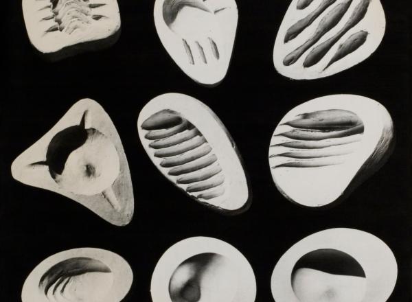 grid of 9 white organic, shell-shaped Isamu Noguchi ashtrays