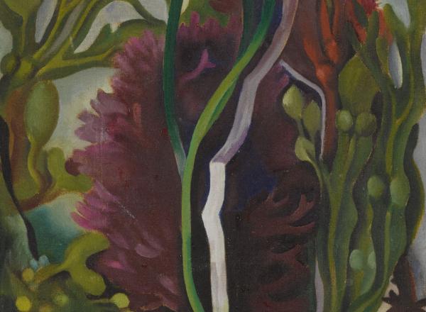 Georgia O’Keeffe’s small, square oil on canvas titled Seaweed, organic forms in purple and green with white streak up the middle