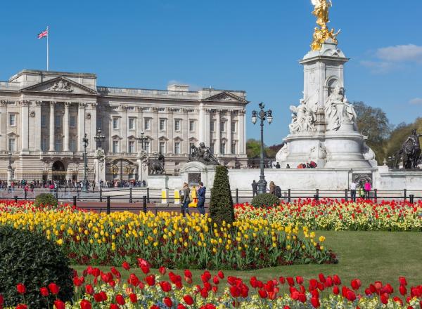 Photograph of Buckingham Palace from gardens, London, UK, 2014.