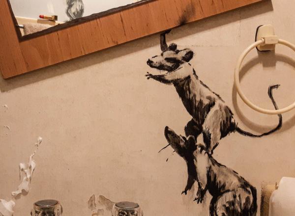 Banksy rats run amok in a bathroom