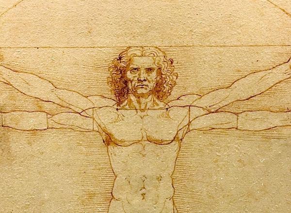 Da Vinci's Vitruvian man from the chest up- a figure of a man with four arms in a circle
