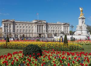 Photograph of Buckingham Palace from gardens, London, UK, 2014.