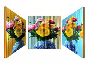 Gil Goren, Flowers of life, 2026, Acrylic paint on wood. 