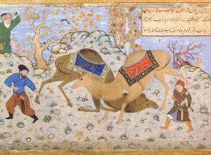 Kamal al-Din Behzad, Camel Fight, Between 1525 and 1560. Golestan Palace Library. License