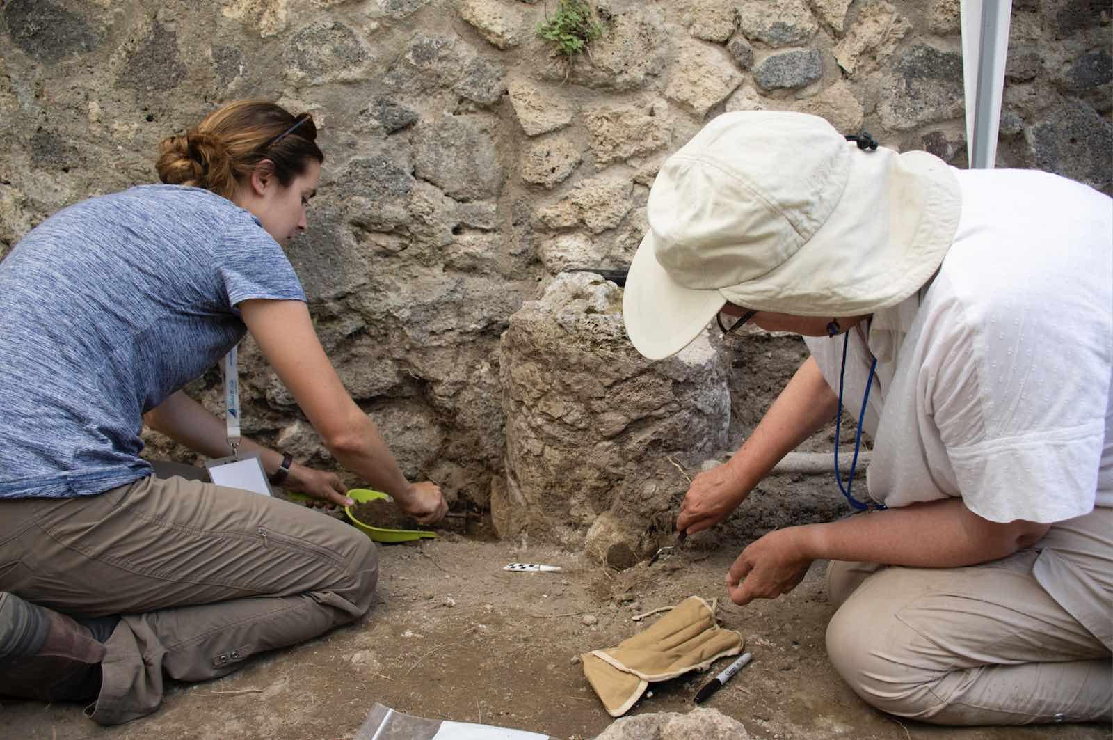 Dr. Kathryn Gleason and Jane Millar Tully (project archaeobotanist, PhD Student University of Texas, Austin) work together to take plaster samples in the hopes of later recovering from them microbotanical and pollen data.