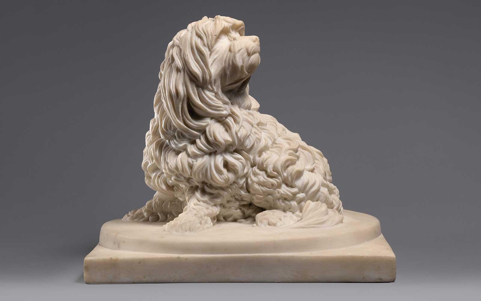 Anne Seymour Damer, Shock Dog (nickname for a dog of the Maltese breed), 1782.