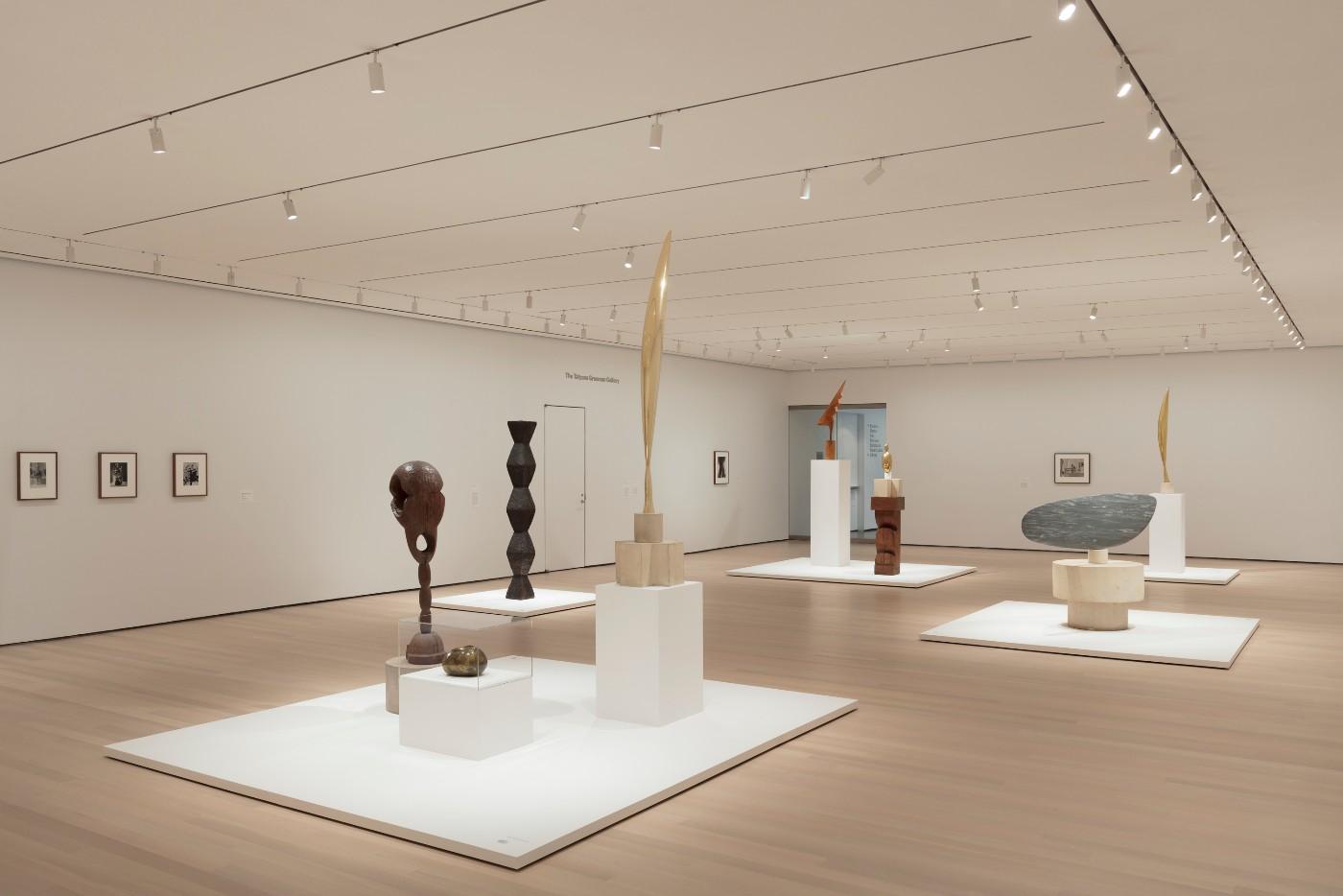 Constantin Brancusi Sculpture” Brings Iconic Works Together for