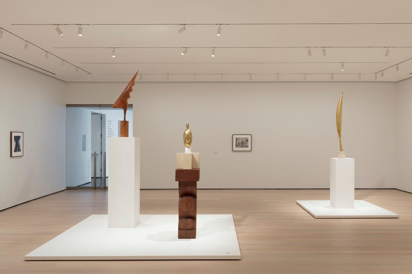 Constantin Brancusi Sculpture” Brings Iconic Works Together for