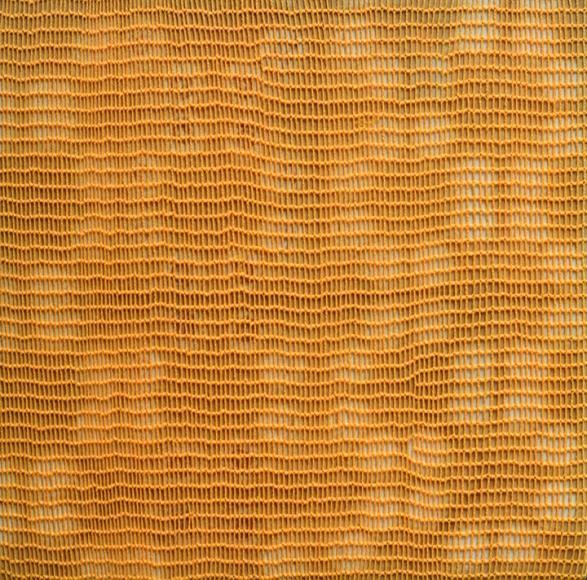 Shobha Broota, Untitled (Orange Pattern), 2017