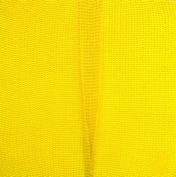 Shobha Broota, Untitled (Yellow), 2017