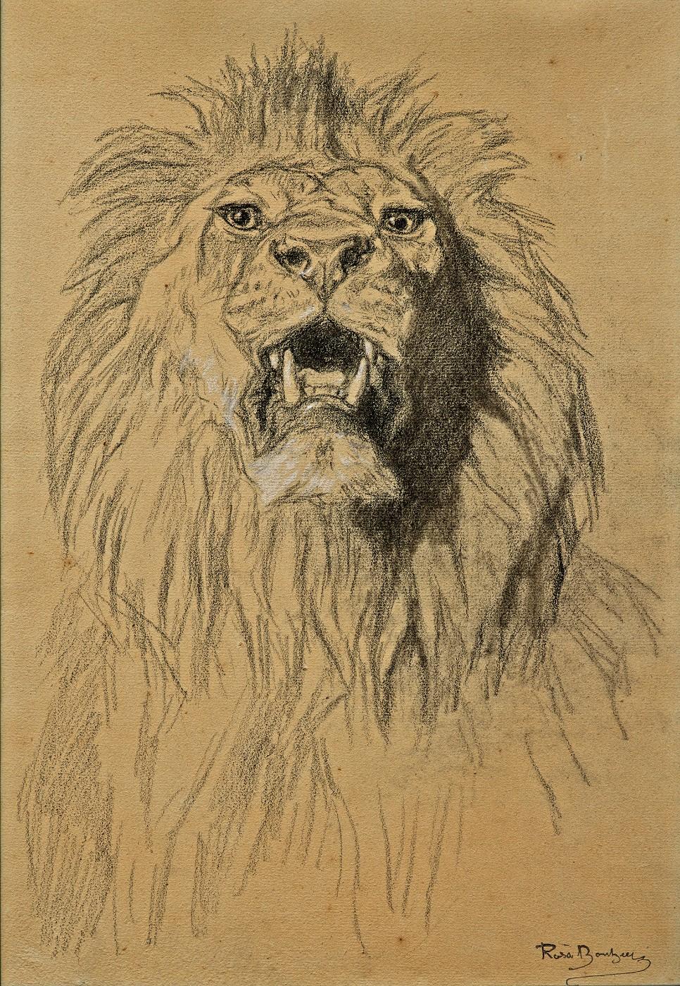 Rosa Bonheur, Lion's Head, c. 1880-1885