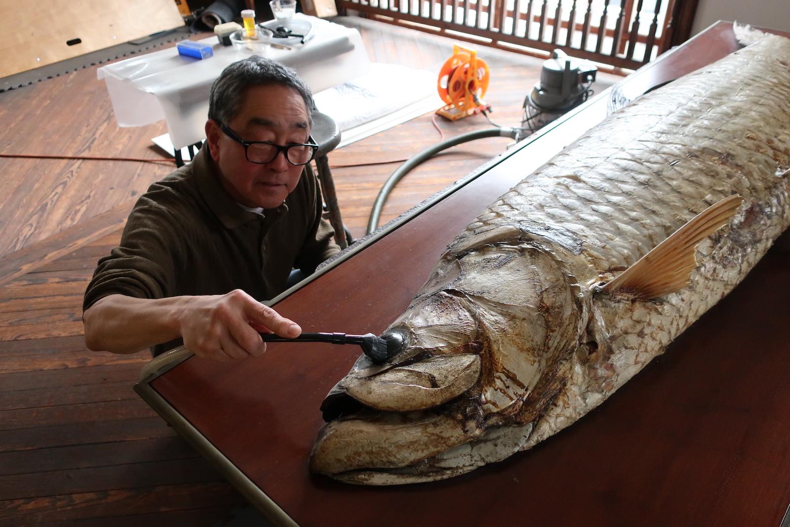 Site and collections manager Don Azuma cleaning large specimens. courtesy of the Wagner Free Institute of Science. (this time a fish eye, previously an alligator)