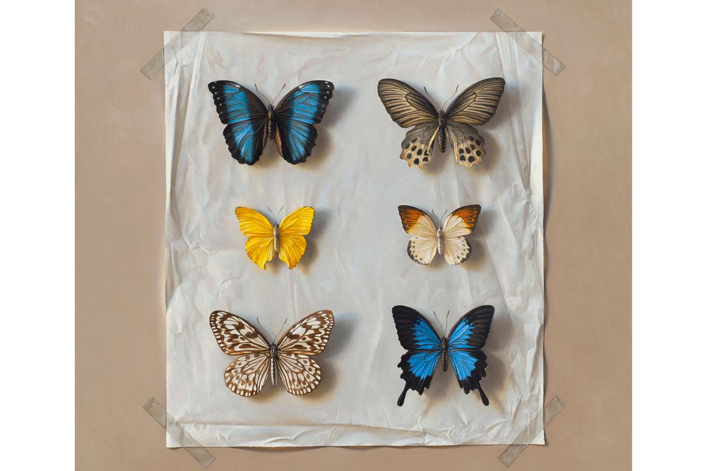 Scott Fraser realism painting Six Butterflies