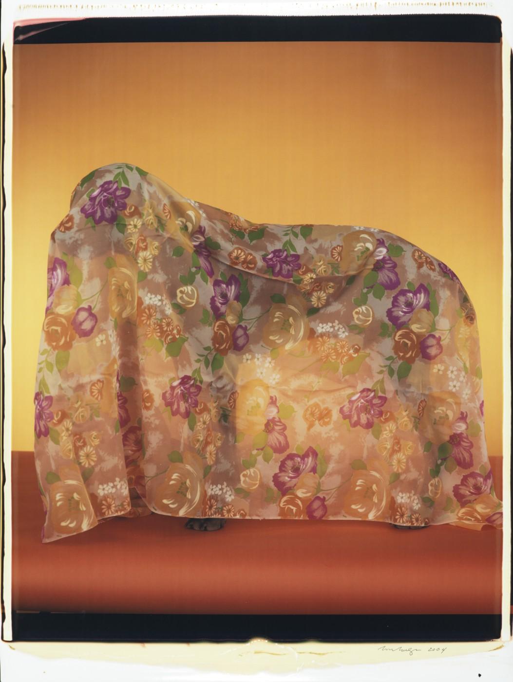 William Wegman, Rain Coat, 2004. Color Polaroid, 24 x 20 in.