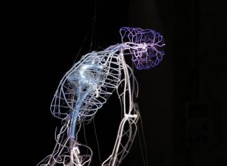 Robert, 2018 64 × 17 × 17 in. Neon, Pyrex, transformers, and MDF box Courtesy of the artist