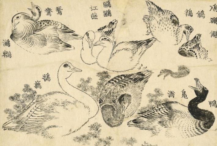 Hokusai print of seven water birds