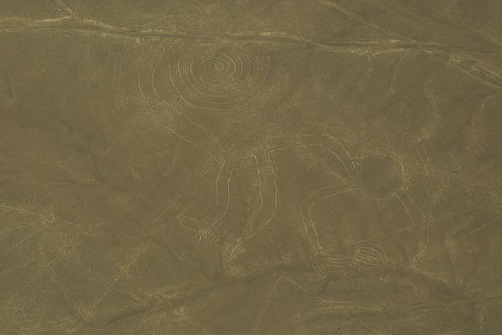 Aerial view of the “Monkey,” one of the most popular geoglyphs of the Nazca Lines, 200 BC - 800 AD. Nazca Desert, Peru. 