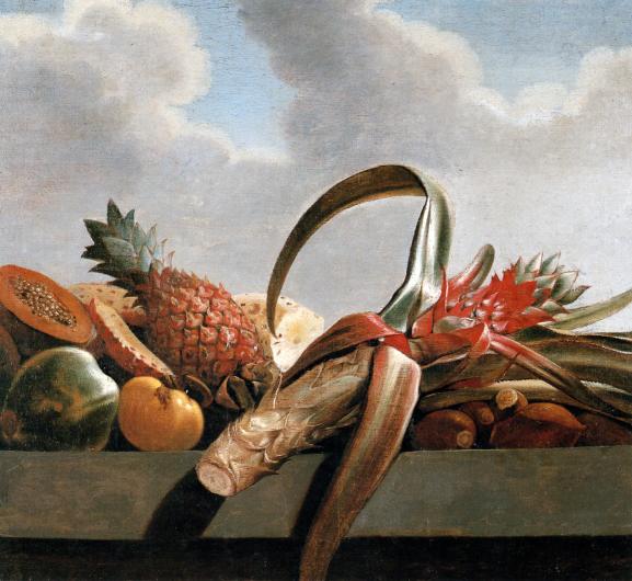 Albert Eckhout still life of tropical fruit