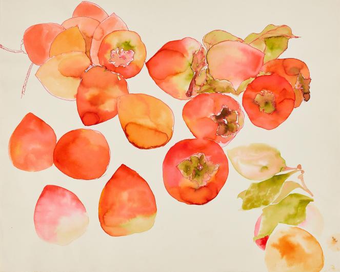 Ruth Asawa Untitled (WC.252, Persimmons), c. 1970s–80s Watercolor on paper 14 x 17 in. (35.6 x 43.2 cm) Private collection. Artwork © 2023 Ruth Asawa Lanier, Inc./Artists Rights Society (ARS), New York. Courtesy David Zwirner