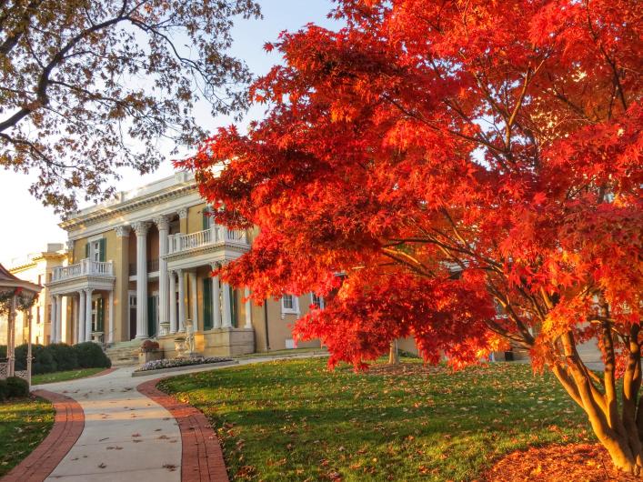 a tree in bright orange and red fall foliage in front of a mansion