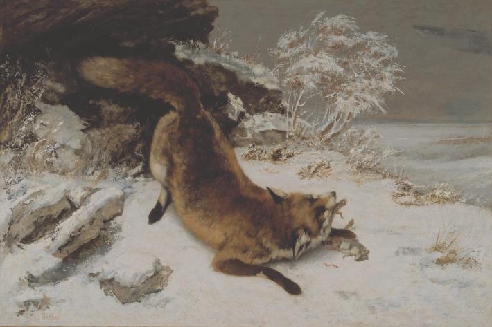 Gustave Courbet, Fox in the Snow, 1860, oil on canvas, Dallas Museum of Art, Foundation for the Arts Collection, Mrs. John B. O'Hara Fund, 1979.7.FA. Image courtesy Dallas Museum of Art. 