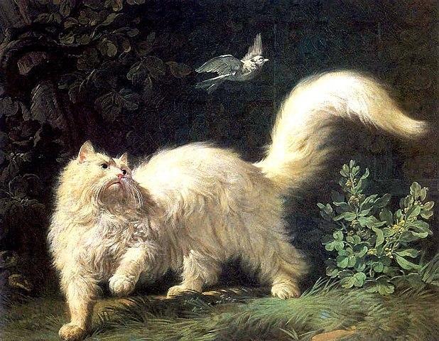 Jean-Jacques Bachelier, Angora Chasing a Bird, 1761.