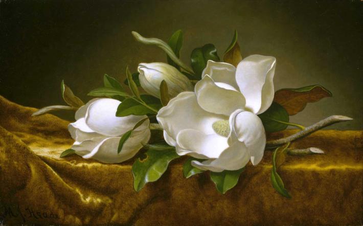 martin johnson headed painting of magnolia blossoms on a gold cloth