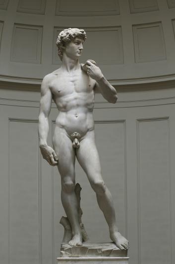 Michelangelo, David, 1501-1504. Marble. Florence, Galleria dell'Accademia. 