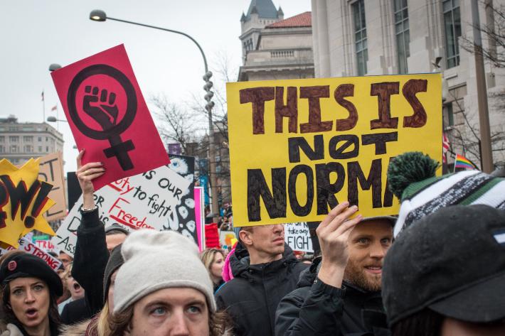 Sign from the women's March 2017. Features the Venus symbol on pink poster with a raised fist in the middle