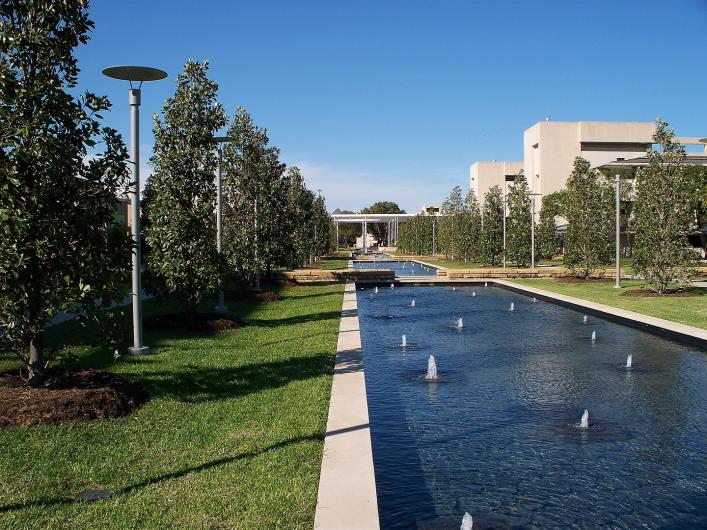 University of Texas Dallas reflecting pool surrounded by magnolias